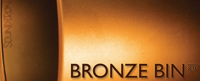 Bronze Bin