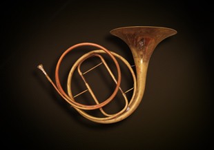 Natural Horn Image