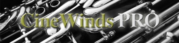 CineWinds Pro Header