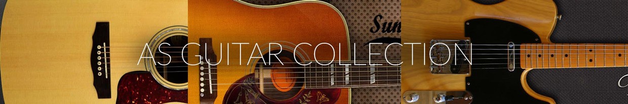 AS Guitar Collection Banner