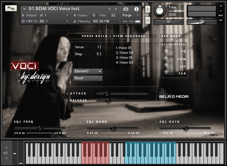 VOCI by Design GUI