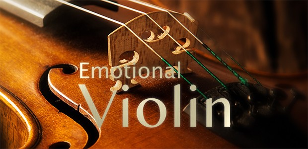 Emmotional Violine Banner DE
