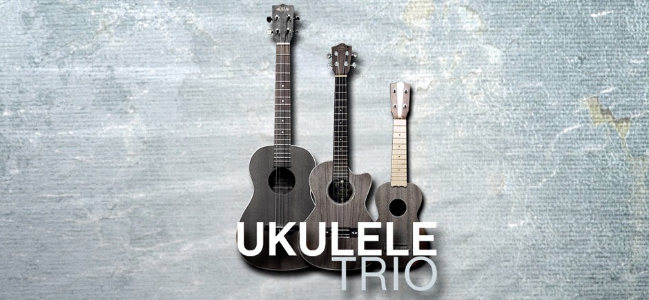 Ukulele Trio Banner