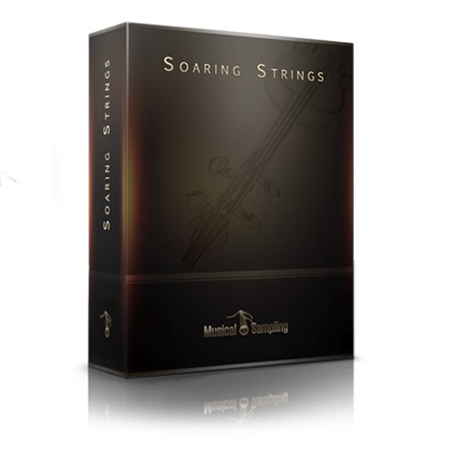 Soaring Strings Boxshot