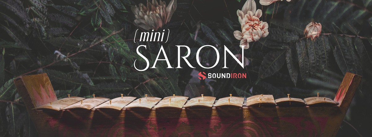 Mini Saron