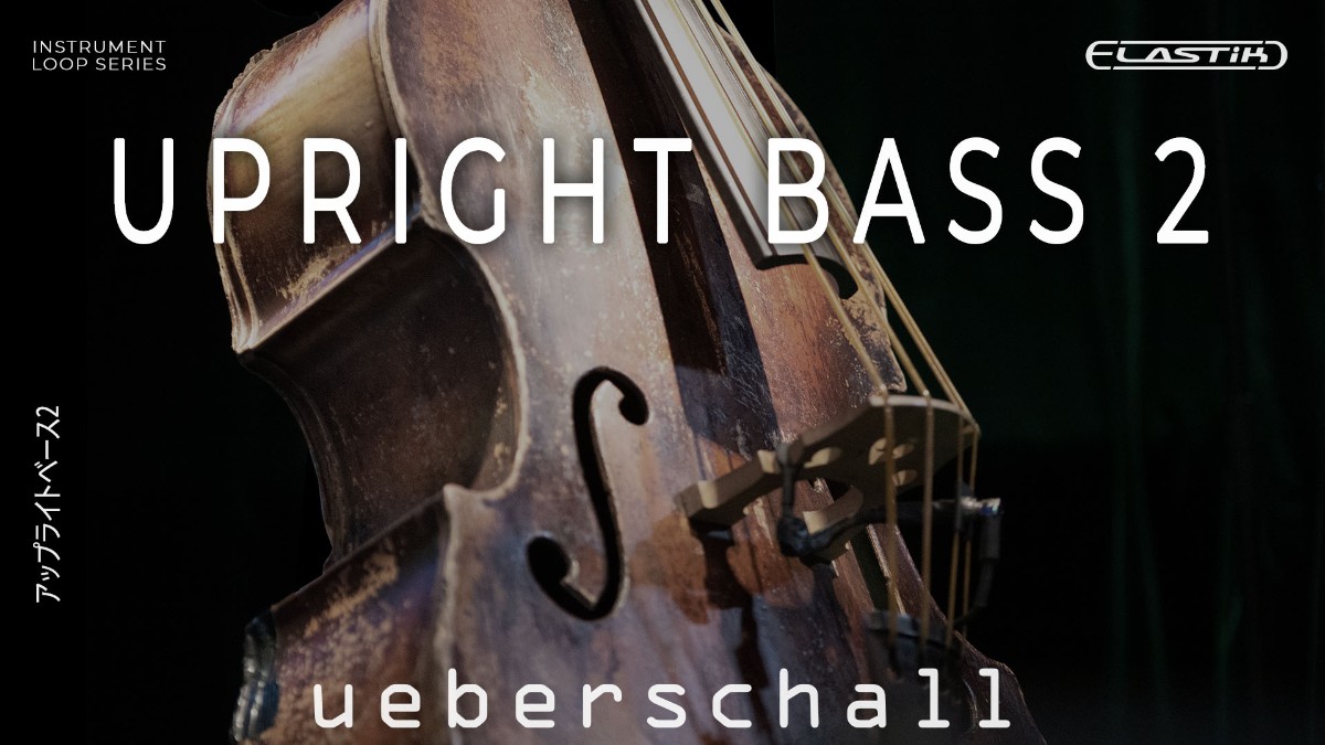 Upright Bass 2 Banner