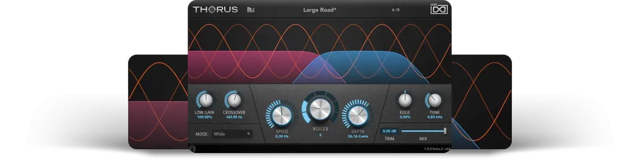 Thorus GUI