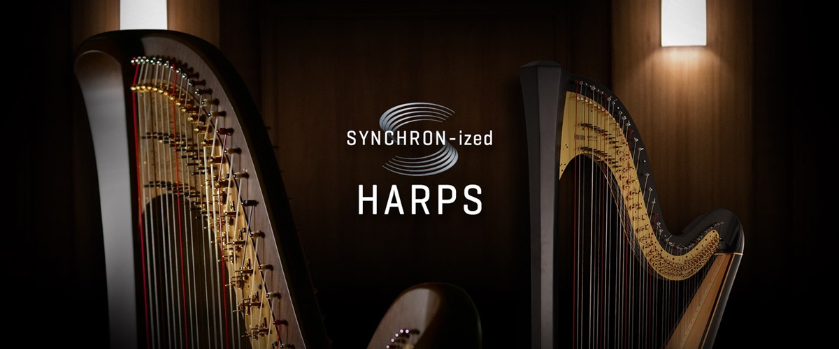 Synchron-ized Harps Banner