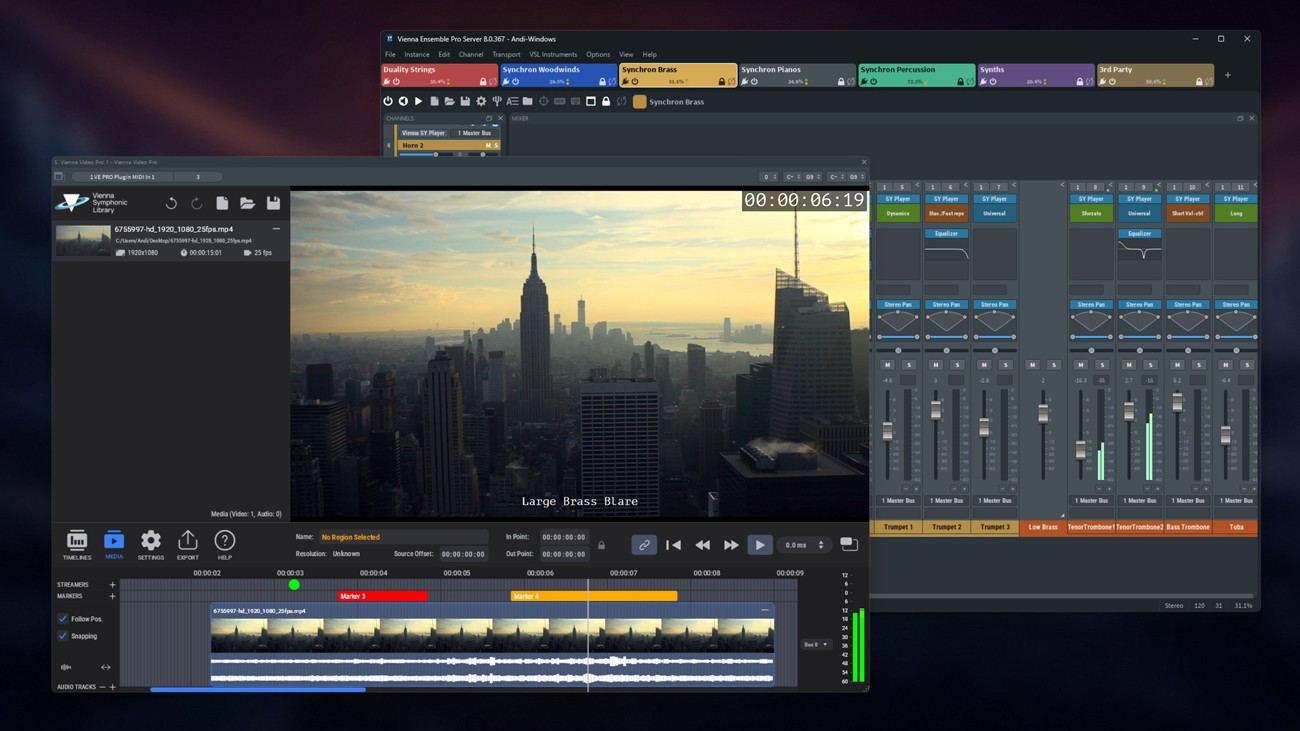 Vienna Ensemble Pro 8V GUI
