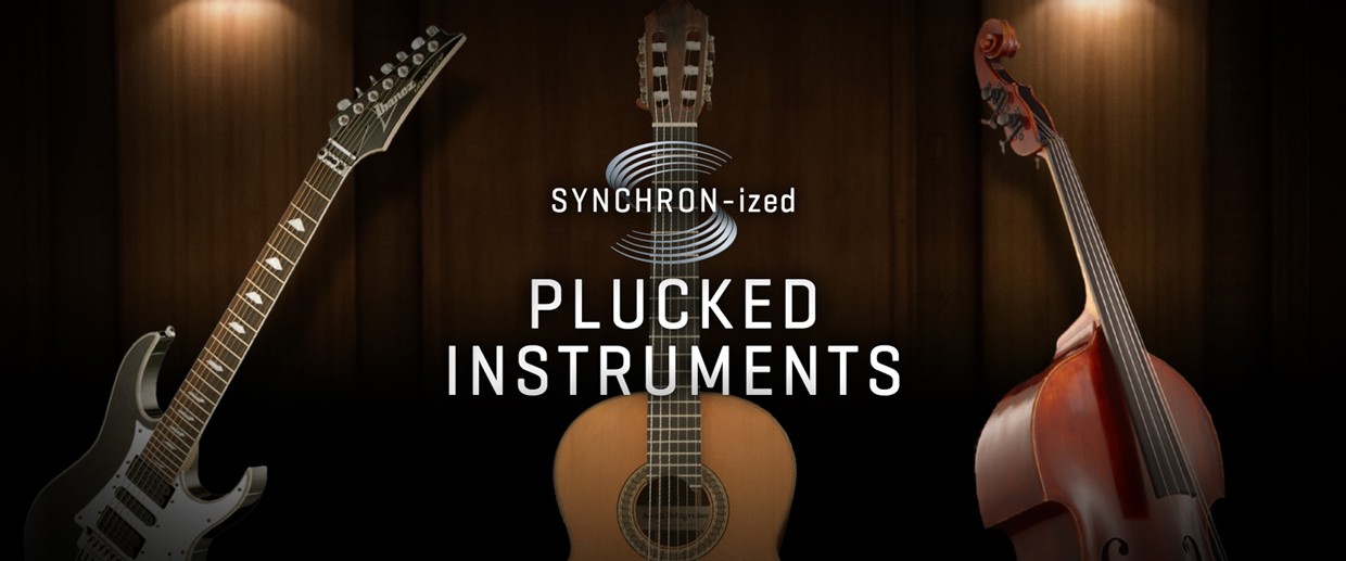 Plucked Instruments Banner