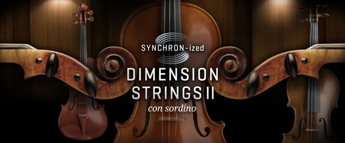 Dimension Strings II