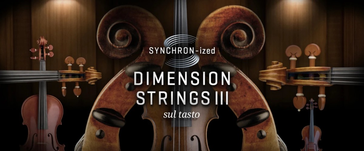 Dimension Strings II