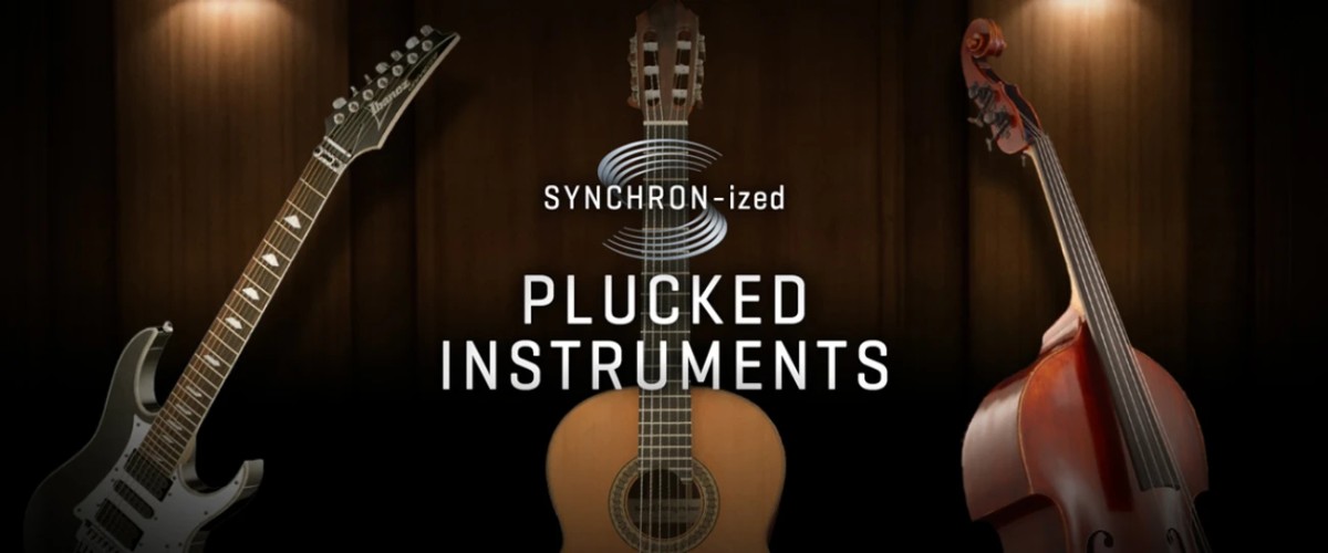 Plucked Instruments