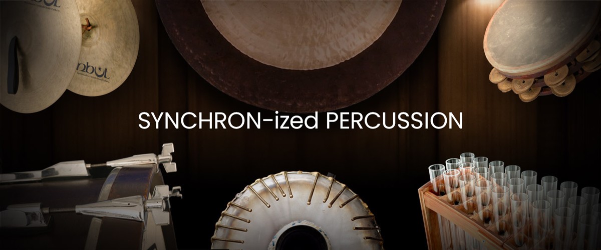Synchron-ized Percussion Banner