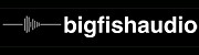 Big Fish Audio Logo