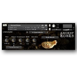 Ancient Bones