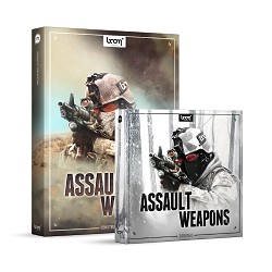 Assault Weapons - Bundle