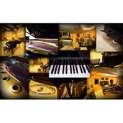 Galaxy II Steinway