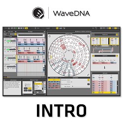 Liquid Rhythm Intro