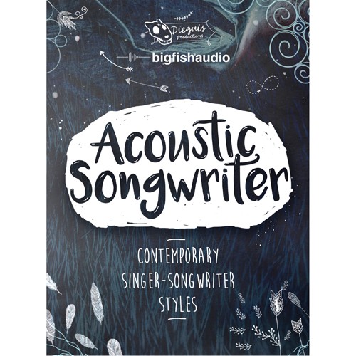 Acoustic Songwriter
