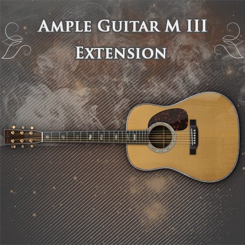 Ample Guitar M Extension Pick