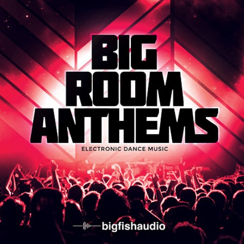 Big Room Anthems