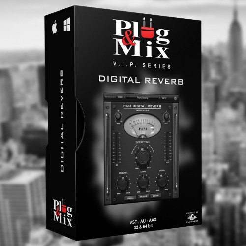 Digital Reverb