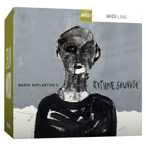 Drum MIDI Rythme Sauvage