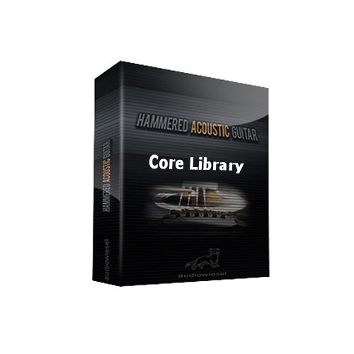 Hammered Acoustic Guitar Core