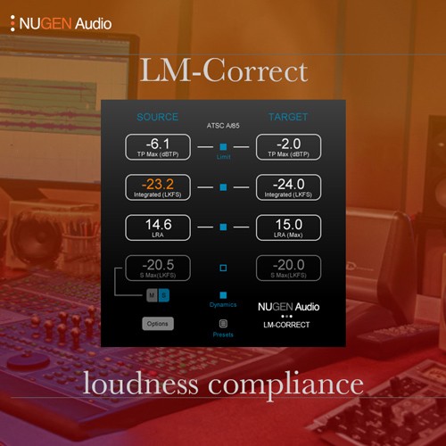 LM-Correct