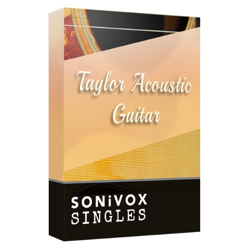 Taylor Acoustic Guitar