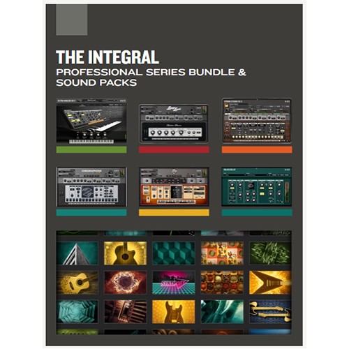 The Integral Bundle