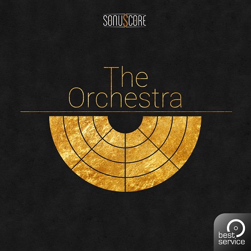 The Orchestra