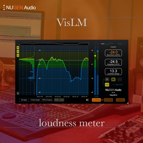 VisLM