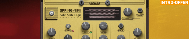 SSL - SpringVerb - Intro Offer