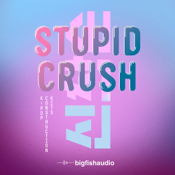 Stupid Crush: K-Pop Construction Kits