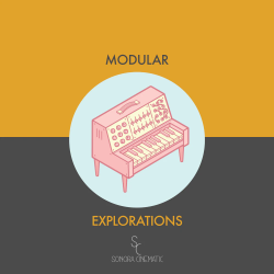 Modular Explorations