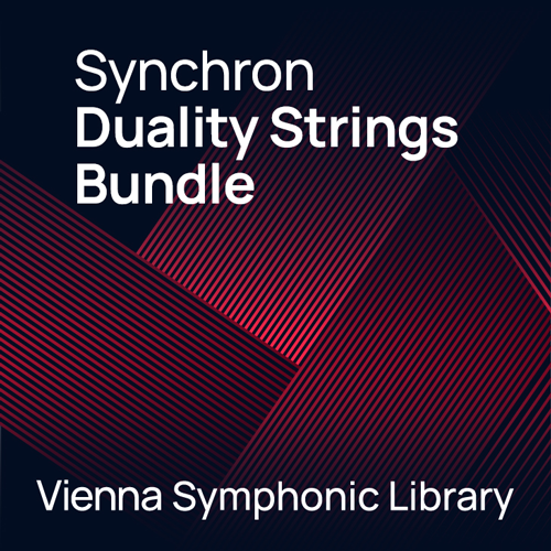 Synchron Duality Strings Bundle