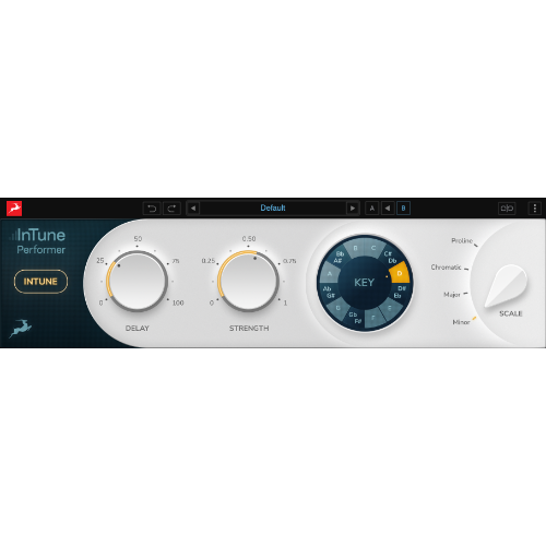 InTune Performer