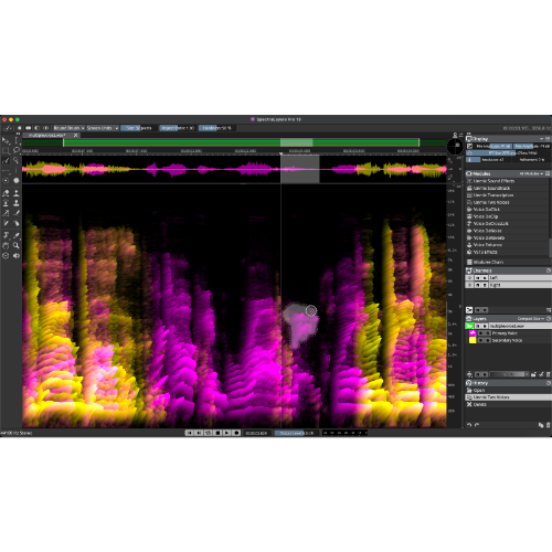 SpectraLayers Pro 13