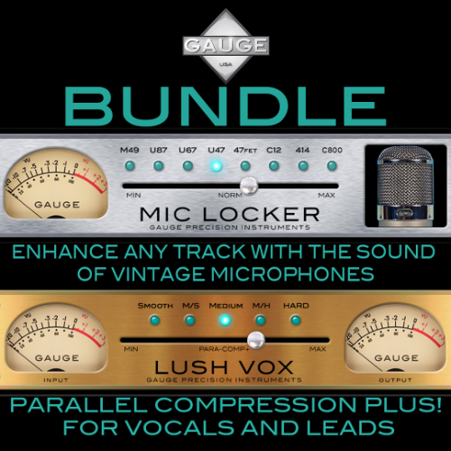 Gauge Bundle