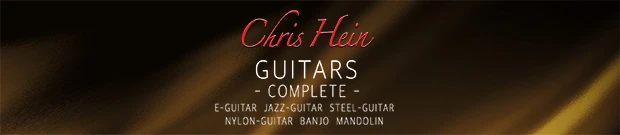 Chris Hein Guitars Header