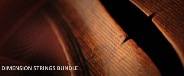 Dimension Strings Bundle