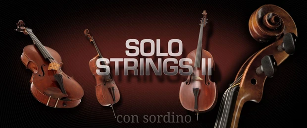 Solo Strings II header