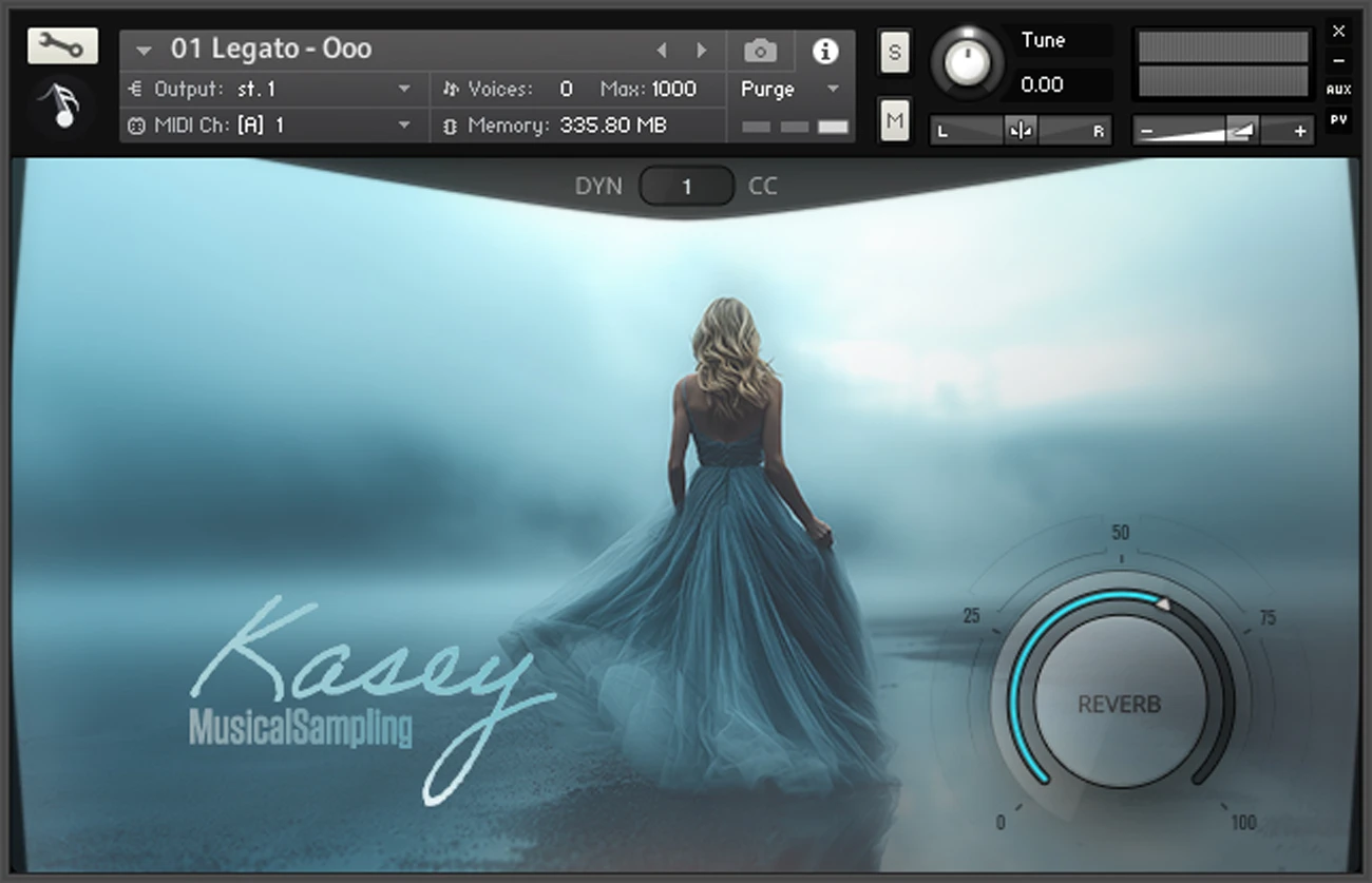 Kasey Kontakt GUI