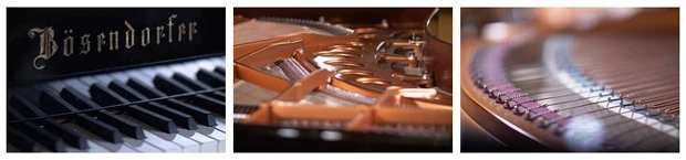 boesendorfer imperial banner